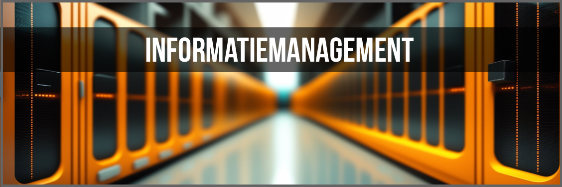 Informatiemanagement